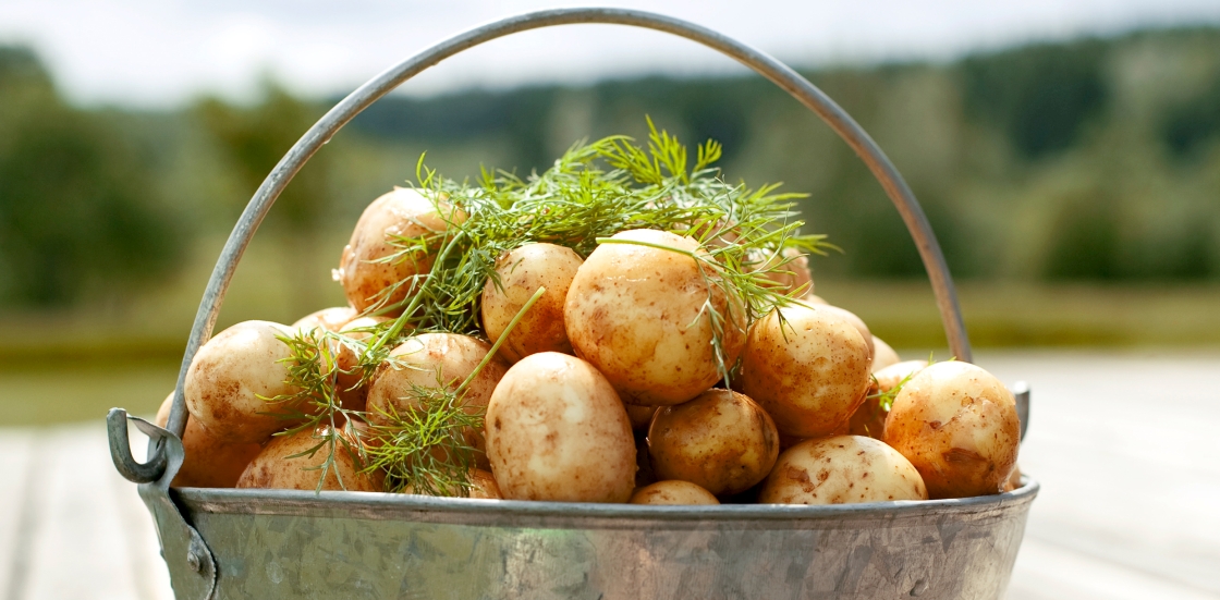 Kristel Aaslaiu säästuretseptid kartulist