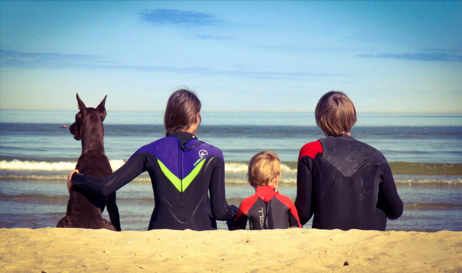 Surfarite pere rannas oma suure koeraga.