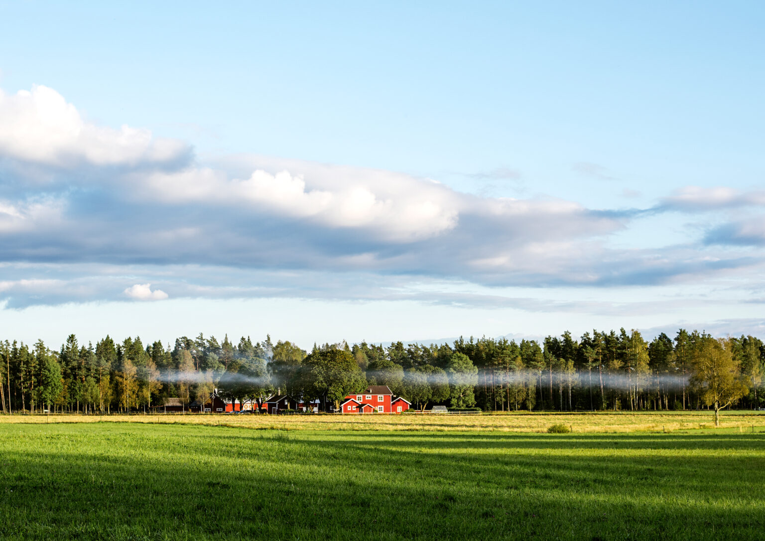 Pildil on kauguses punane suur maja ja selle taga mets. pildi ees on suur põld ning taevas on sinine.