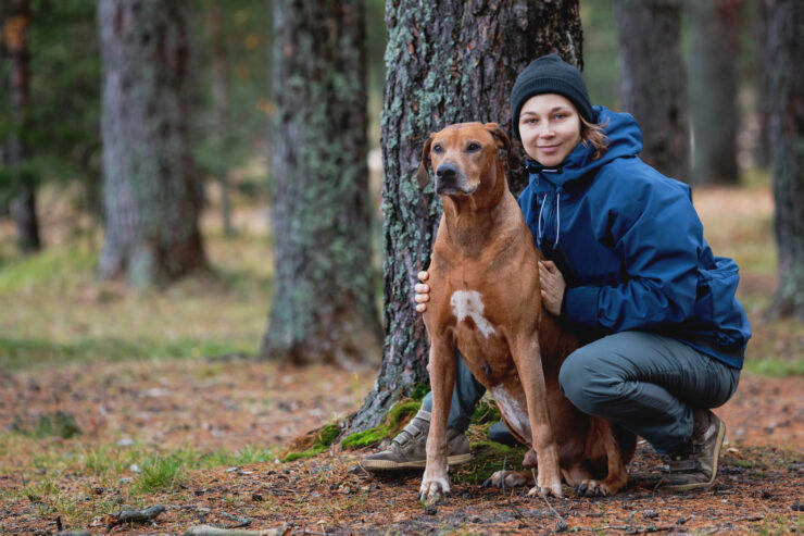 koeraga jalutama, naine jalutamas metsas oma koera.