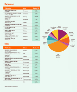 Virtuaalkonto_p6hi_suur_osakaalud